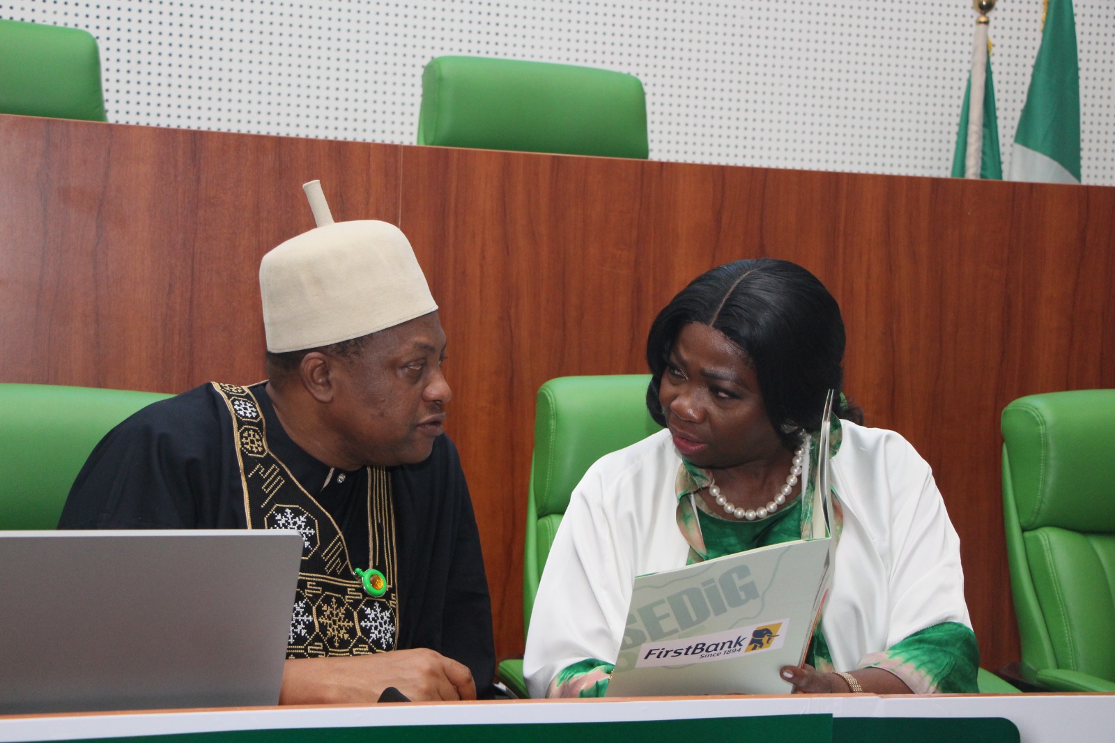 "NASS Gives Green Light to Diaspora Voting Bill, Expanding Nigeria's Global Reach"